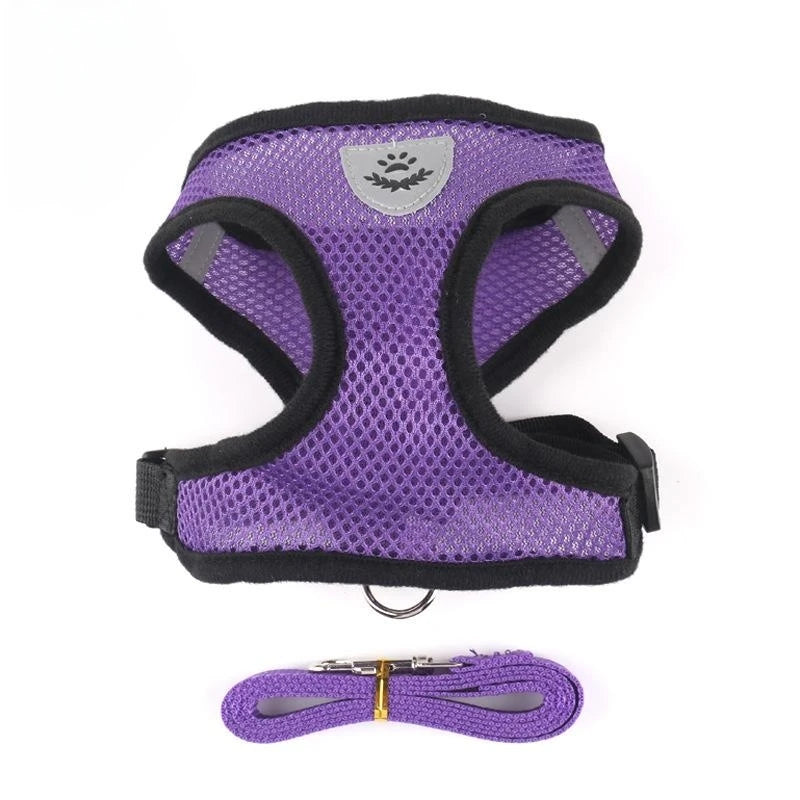 Easy Pet Harness & Leash Set