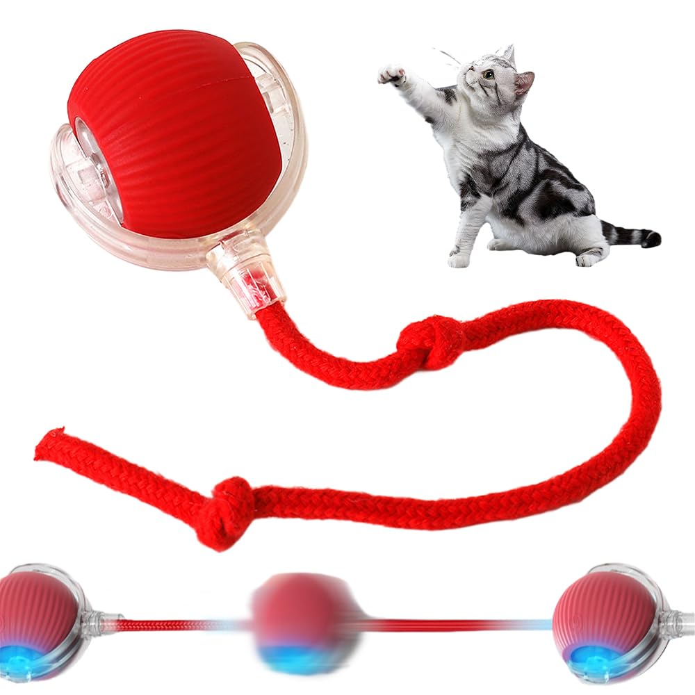 PurrPlay Fun Cat Ball