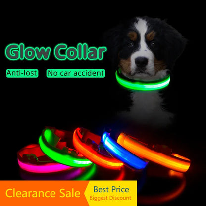 GlowGuard LED Dog Collar