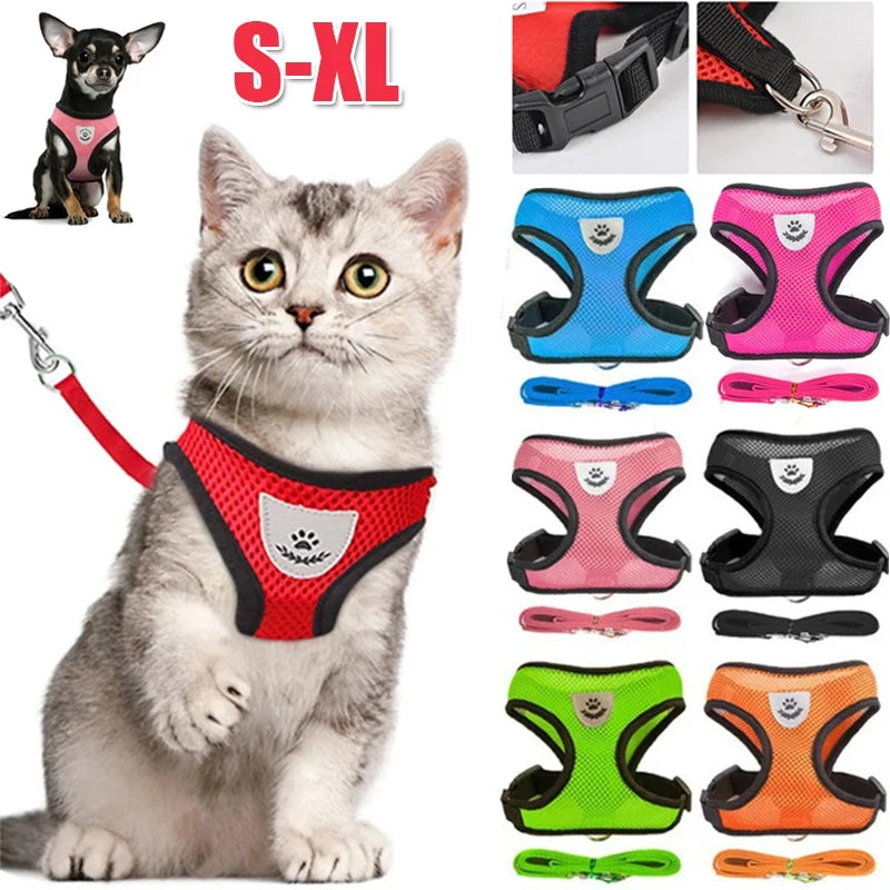 Easy Pet Harness & Leash Set