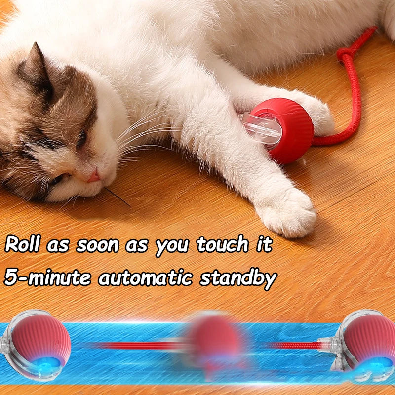 PurrPlay Fun Cat Ball