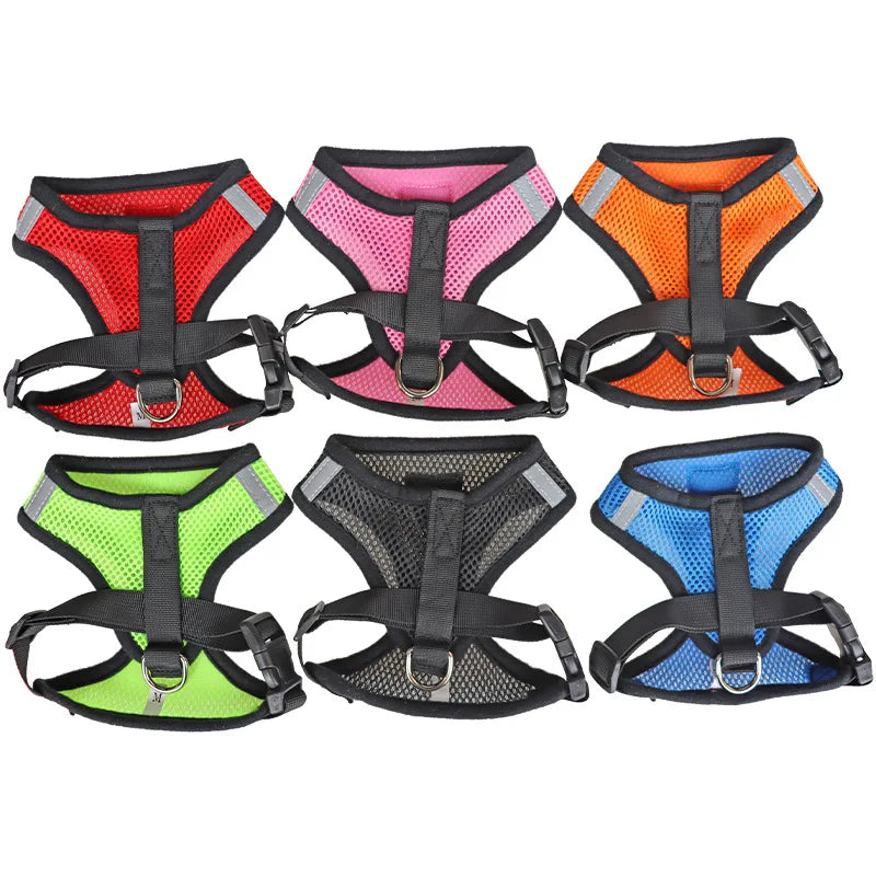 Easy Pet Harness & Leash Set