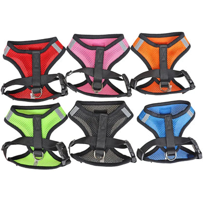 Easy Pet Harness & Leash Set