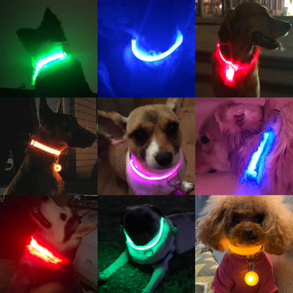 GlowGuard LED Dog Collar