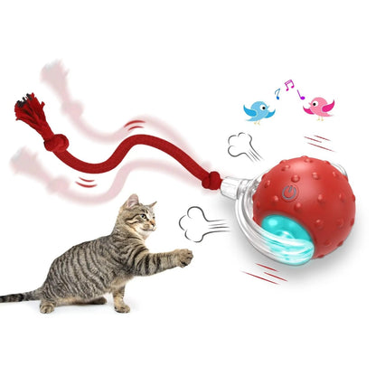 PurrPlay Fun Cat Ball