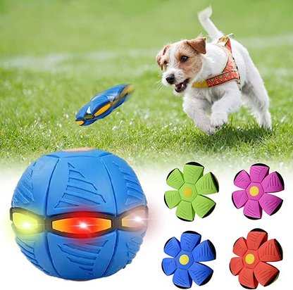 Magic Flying Saucer Dog Toy