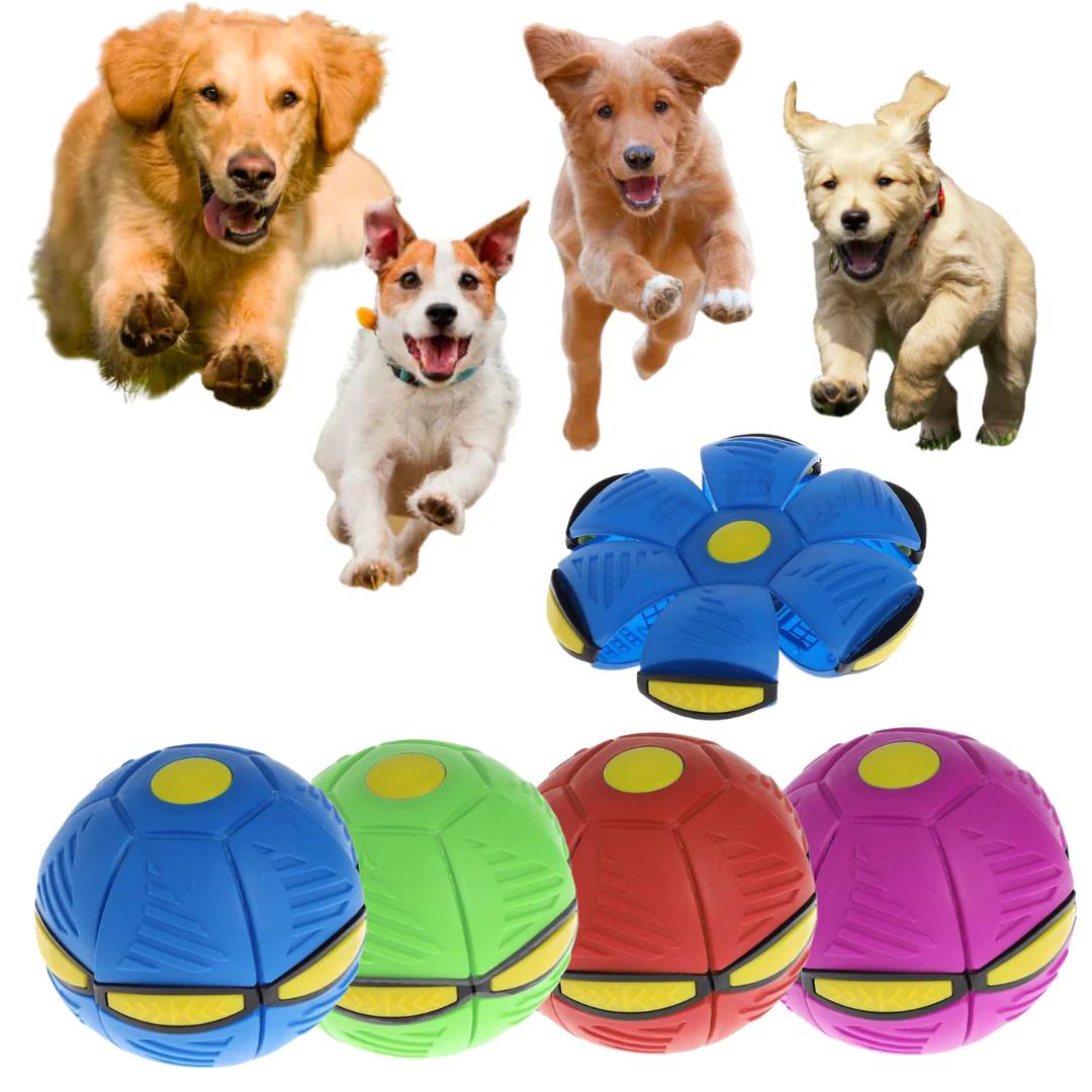 Magic Flying Saucer Dog Toy