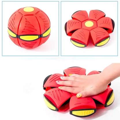 Magic Flying Saucer Dog Toy